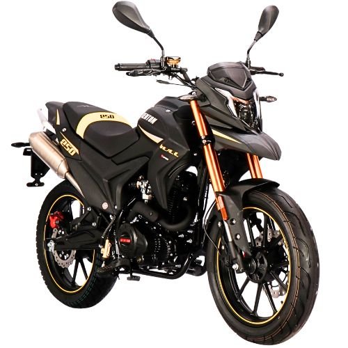 1. Premio: Kenton Bull 250